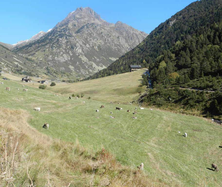 Hotel Peretol Soldeu Bagian luar foto